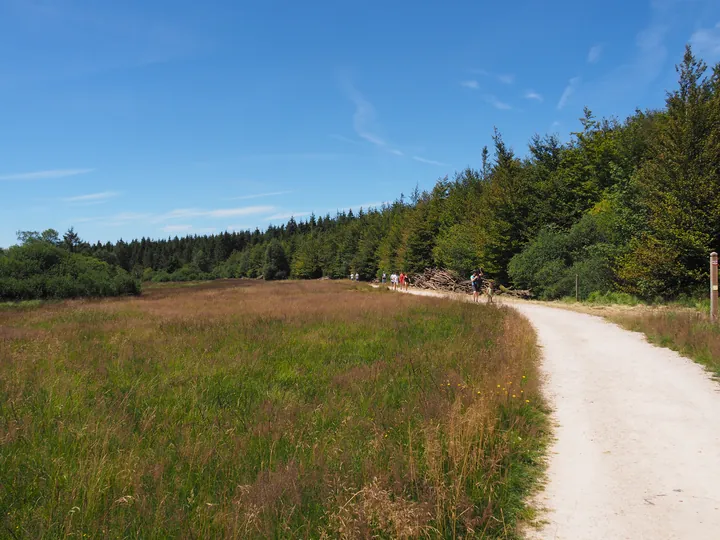 Signal de Botrange (Belgium)